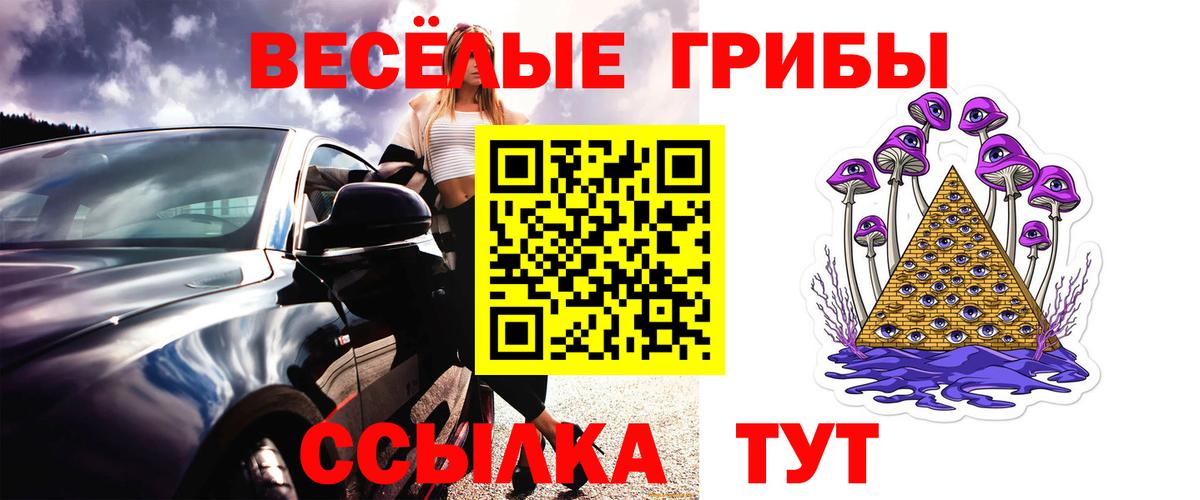 Псилоцибиновые грибы прущие грибы Волгоград